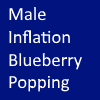 Blueberry Bear Professor (Popping)